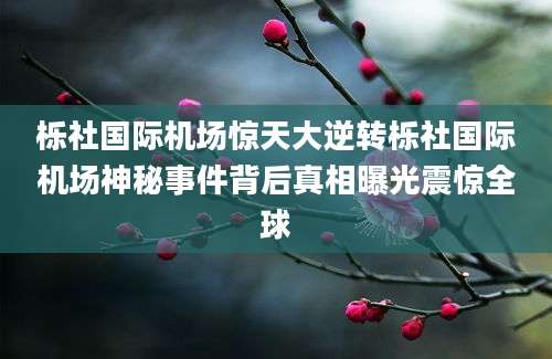 栎社国际机场惊天大逆转栎社国际机场神秘事件背后真相曝光震惊全球