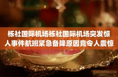 栎社国际机场栎社国际机场突发惊人事件航班紧急备降原因竟令人震惊