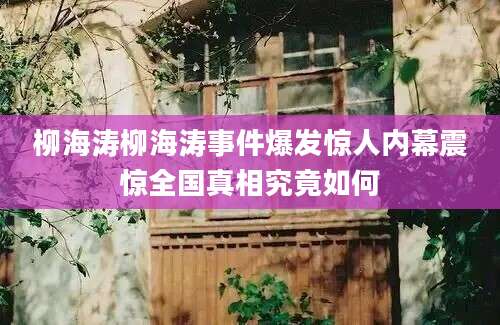 柳海涛柳海涛事件爆发惊人内幕震惊全国真相究竟如何