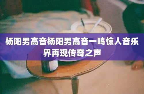 杨阳男高音杨阳男高音一鸣惊人音乐界再现传奇之声