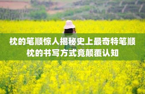 枕的笔顺惊人揭秘史上最奇特笔顺枕的书写方式竟颠覆认知