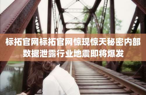 标拓官网标拓官网惊现惊天秘密内部数据泄露行业地震即将爆发
