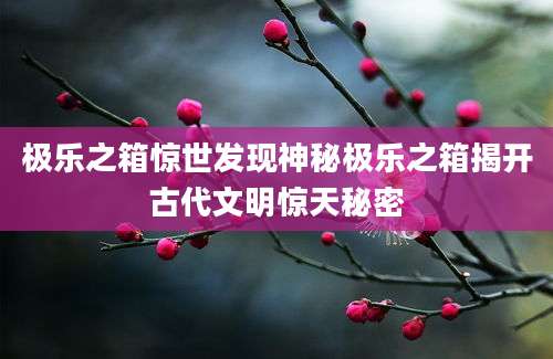 极乐之箱惊世发现神秘极乐之箱揭开古代文明惊天秘密