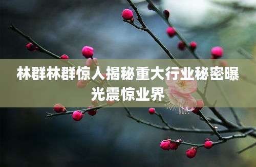 林群林群惊人揭秘重大行业秘密曝光震惊业界