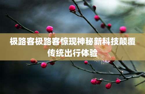 极路客极路客惊现神秘新科技颠覆传统出行体验