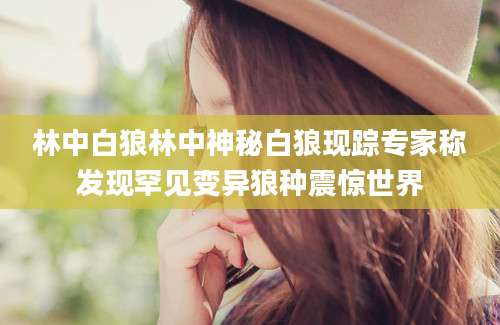 林中白狼林中神秘白狼现踪专家称发现罕见变异狼种震惊世界