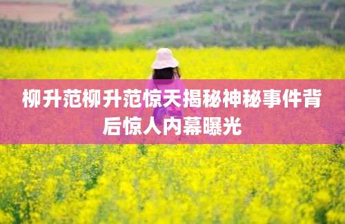 柳升范柳升范惊天揭秘神秘事件背后惊人内幕曝光
