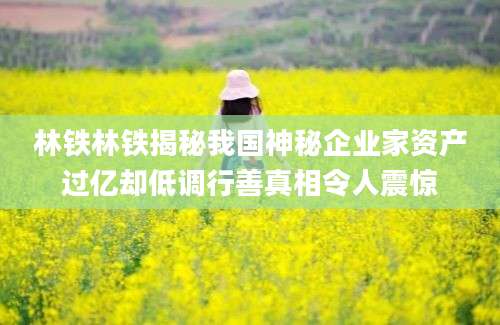 林铁林铁揭秘我国神秘企业家资产过亿却低调行善真相令人震惊