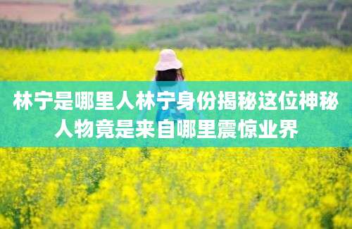 林宁是哪里人林宁身份揭秘这位神秘人物竟是来自哪里震惊业界