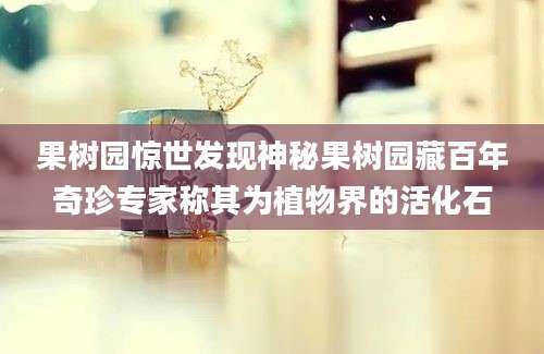 果树园惊世发现神秘果树园藏百年奇珍专家称其为植物界的活化石