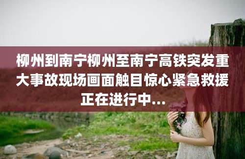 柳州到南宁柳州至南宁高铁突发重大事故现场画面触目惊心紧急救援正在进行中...