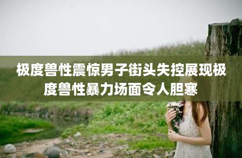 极度兽性震惊男子街头失控展现极度兽性暴力场面令人胆寒