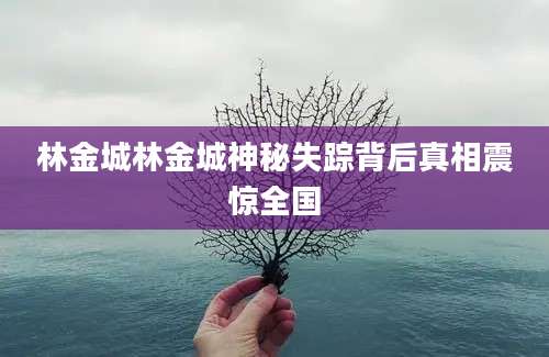 林金城林金城神秘失踪背后真相震惊全国