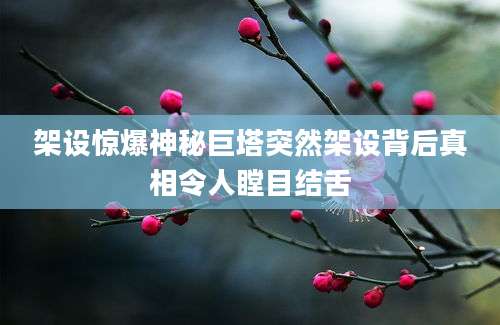 架设惊爆神秘巨塔突然架设背后真相令人瞠目结舌
