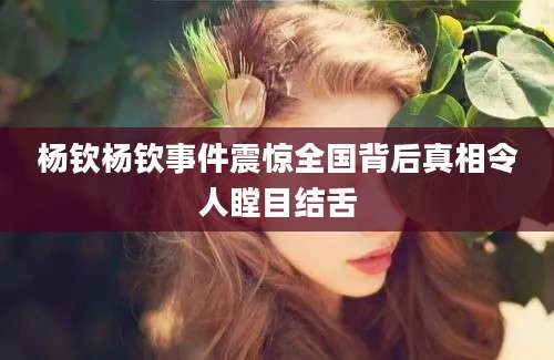 杨钦杨钦事件震惊全国背后真相令人瞠目结舌
