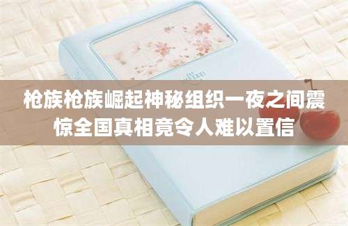 枪族枪族崛起神秘组织一夜之间震惊全国真相竟令人难以置信