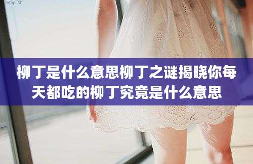 柳丁是什么意思柳丁之谜揭晓你每天都吃的柳丁究竟是什么意思