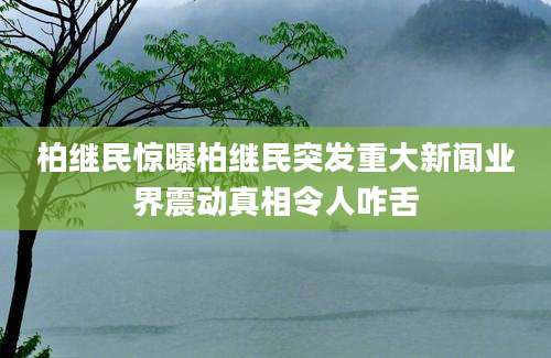 柏继民惊曝柏继民突发重大新闻业界震动真相令人咋舌