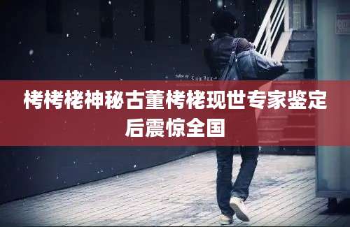 栲栲栳神秘古董栲栳现世专家鉴定后震惊全国