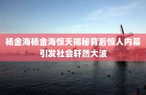 杨金海杨金海惊天揭秘背后惊人内幕引发社会轩然大波