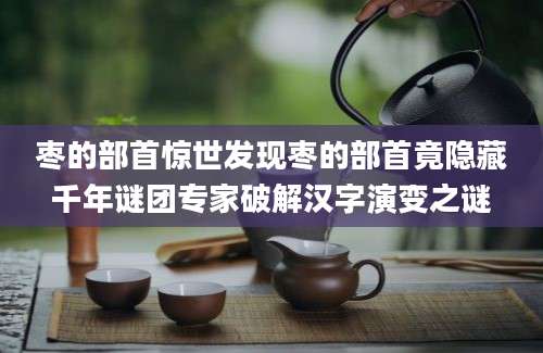 枣的部首惊世发现枣的部首竟隐藏千年谜团专家破解汉字演变之谜