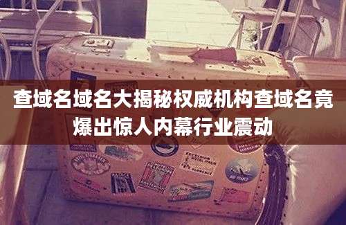 查域名域名大揭秘权威机构查域名竟爆出惊人内幕行业震动