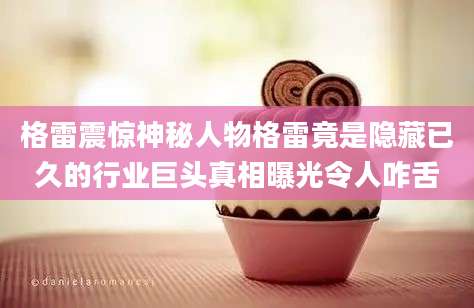 格雷震惊神秘人物格雷竟是隐藏已久的行业巨头真相曝光令人咋舌