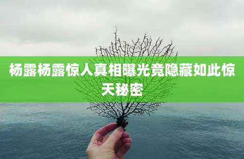 杨露杨露惊人真相曝光竟隐藏如此惊天秘密