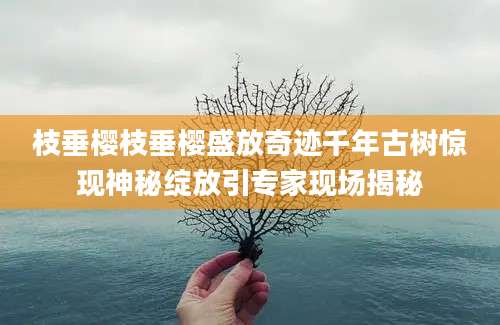 枝垂樱枝垂樱盛放奇迹千年古树惊现神秘绽放引专家现场揭秘