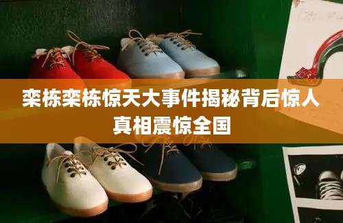 栾栋栾栋惊天大事件揭秘背后惊人真相震惊全国