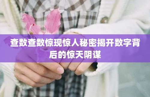 查数查数惊现惊人秘密揭开数字背后的惊天阴谋