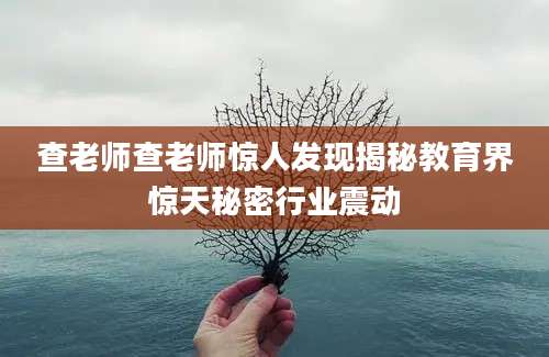 查老师查老师惊人发现揭秘教育界惊天秘密行业震动