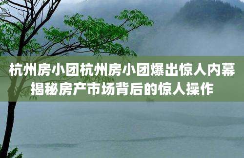 杭州房小团杭州房小团爆出惊人内幕揭秘房产市场背后的惊人操作
