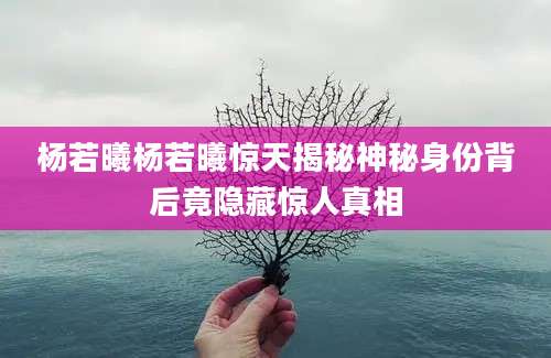 杨若曦杨若曦惊天揭秘神秘身份背后竟隐藏惊人真相