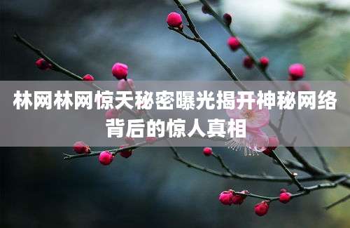 林网林网惊天秘密曝光揭开神秘网络背后的惊人真相