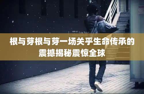 根与芽根与芽一场关乎生命传承的震撼揭秘震惊全球