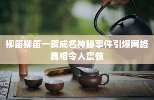柳笛柳笛一夜成名神秘事件引爆网络真相令人震惊