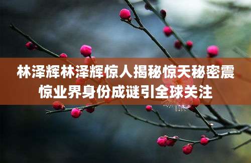 林泽辉林泽辉惊人揭秘惊天秘密震惊业界身份成谜引全球关注