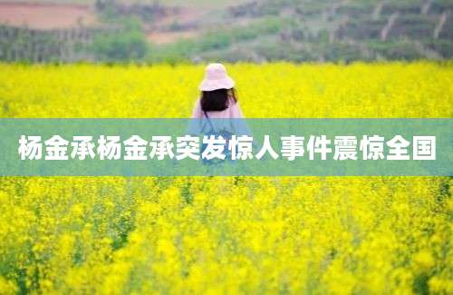 杨金承杨金承突发惊人事件震惊全国