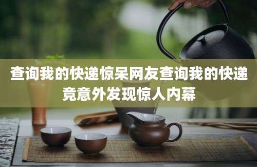 查询我的快递惊呆网友查询我的快递竟意外发现惊人内幕
