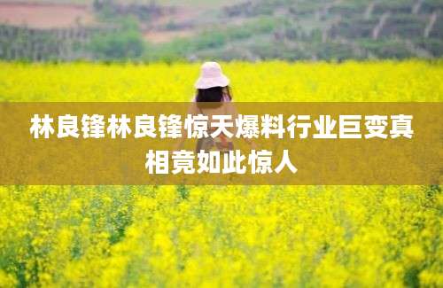 林良锋林良锋惊天爆料行业巨变真相竟如此惊人