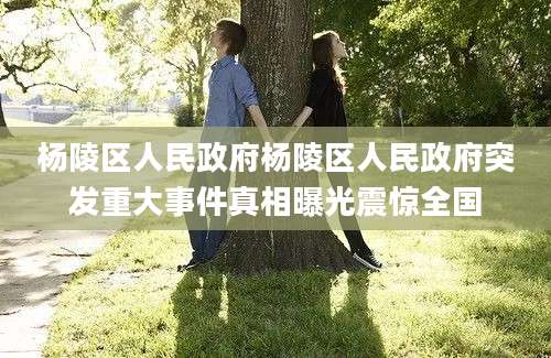 杨陵区人民政府杨陵区人民政府突发重大事件真相曝光震惊全国