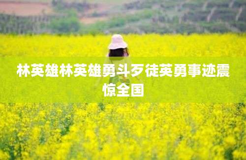 林英雄林英雄勇斗歹徒英勇事迹震惊全国