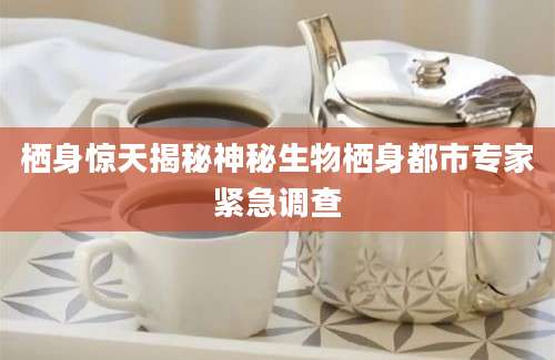 栖身惊天揭秘神秘生物栖身都市专家紧急调查