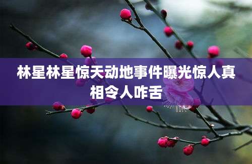 林星林星惊天动地事件曝光惊人真相令人咋舌