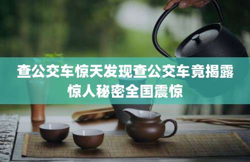 查公交车惊天发现查公交车竟揭露惊人秘密全国震惊