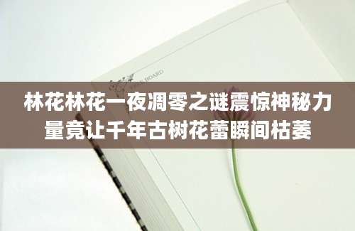 林花林花一夜凋零之谜震惊神秘力量竟让千年古树花蕾瞬间枯萎