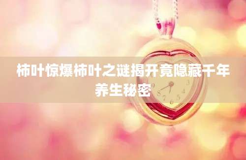 柿叶惊爆柿叶之谜揭开竟隐藏千年养生秘密