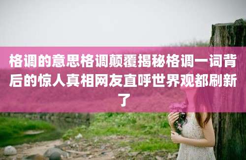 格调的意思格调颠覆揭秘格调一词背后的惊人真相网友直呼世界观都刷新了