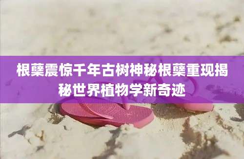 根蘖震惊千年古树神秘根蘖重现揭秘世界植物学新奇迹